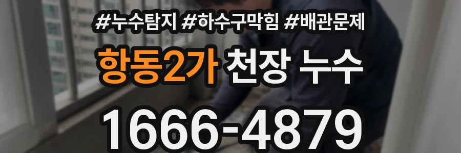 항동2가 천장 누수