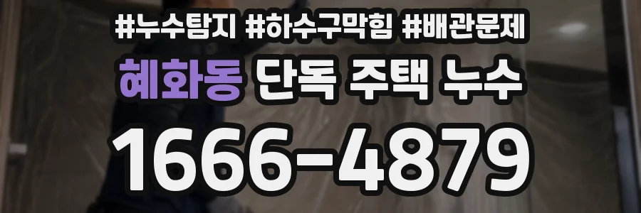 혜화동 단독 주택 누수