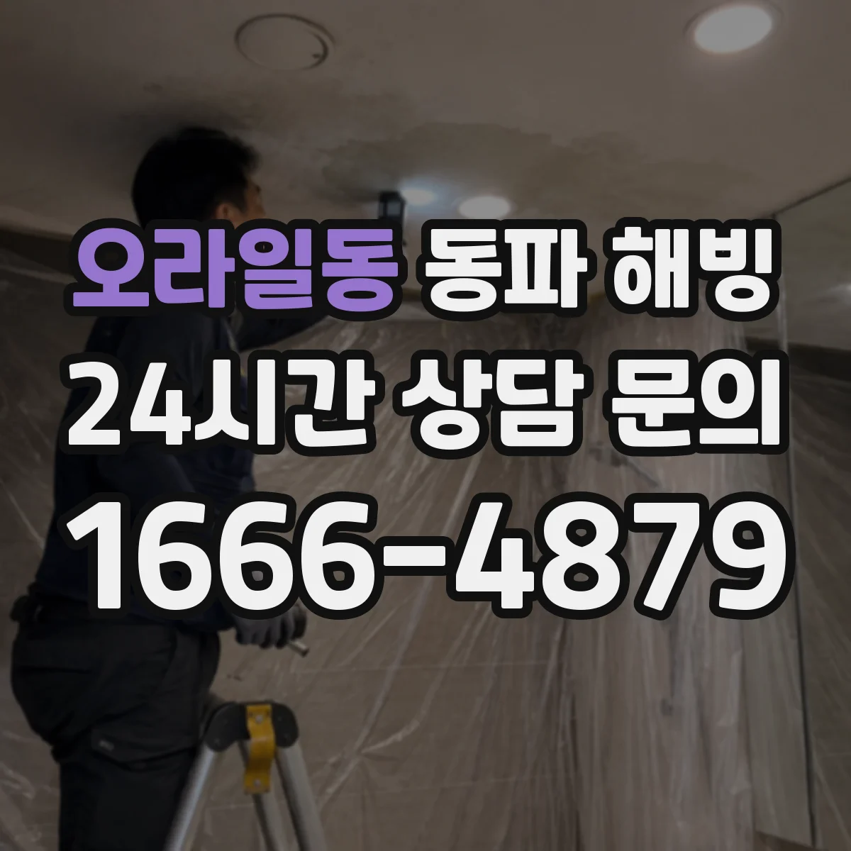 오라일동 동파 해빙