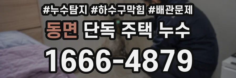 동면 단독 주택 누수