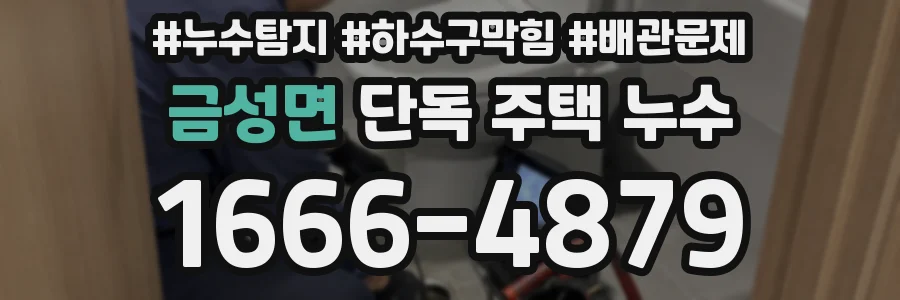 금성면 단독 주택 누수