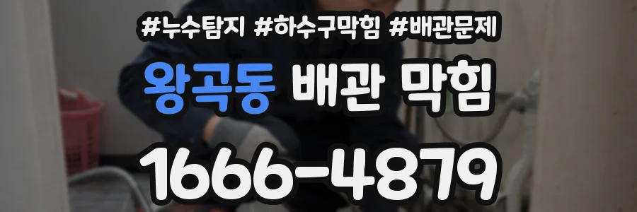 왕곡동 배관 막힘