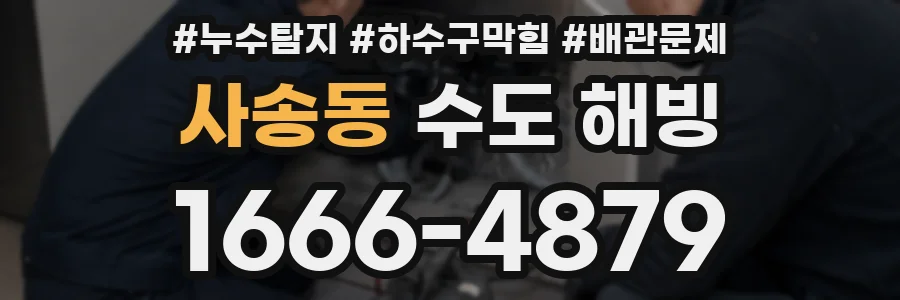 사송동 수도 해빙