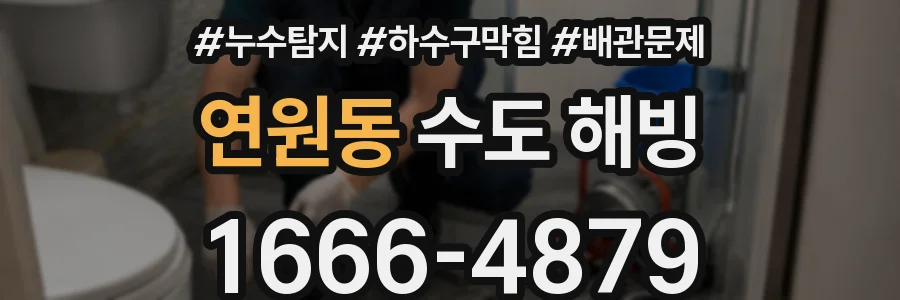 연원동 수도 해빙