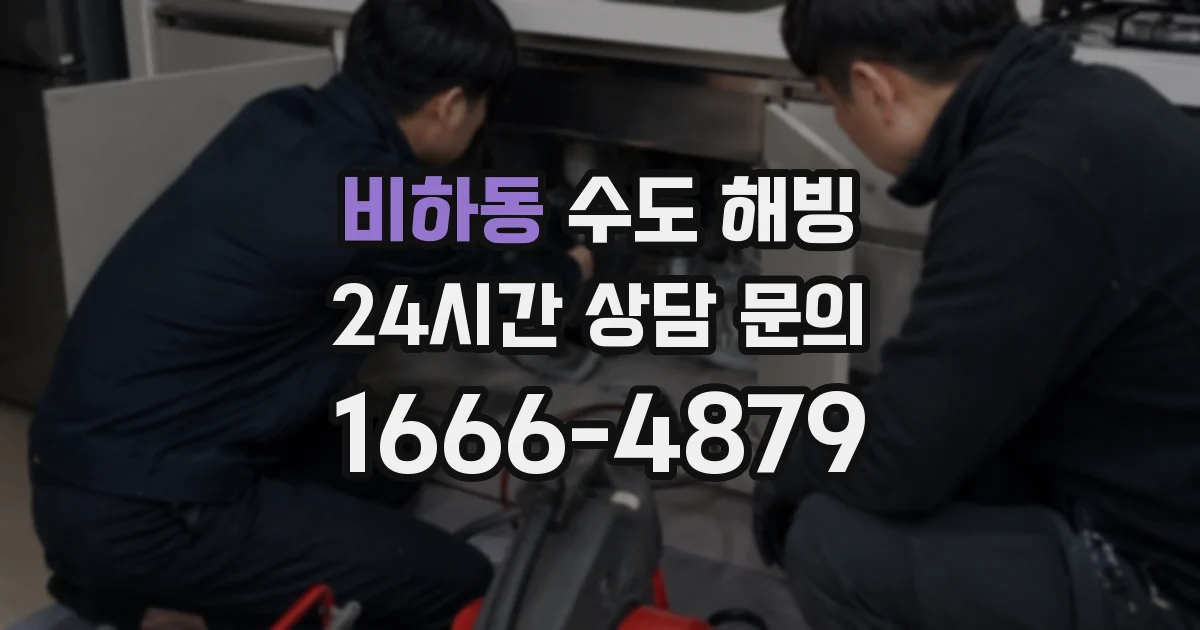 비하동 수도 해빙