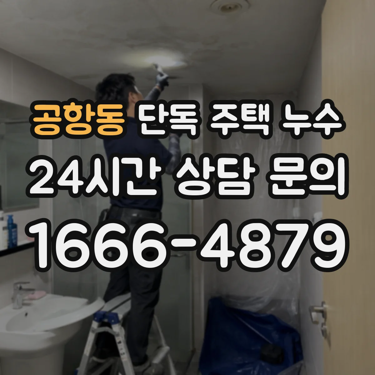 공항동 단독 주택 누수