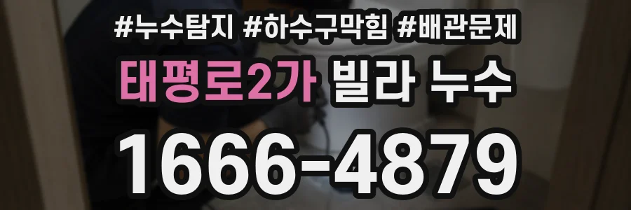 태평로2가 빌라 누수
