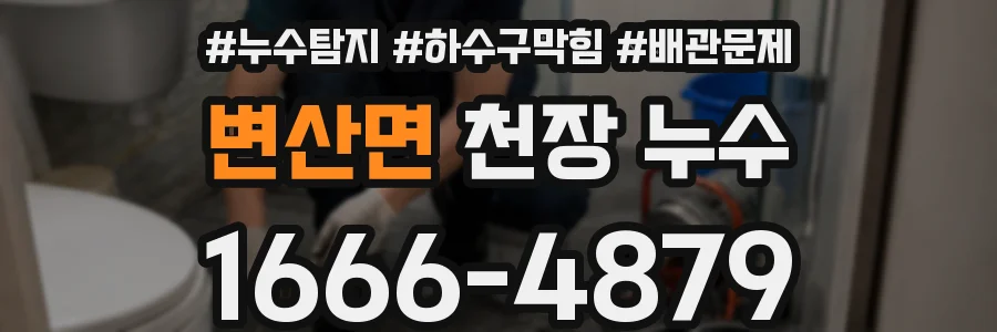 변산면 천장 누수