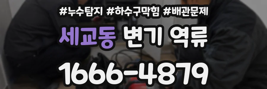 세교동 변기 역류
