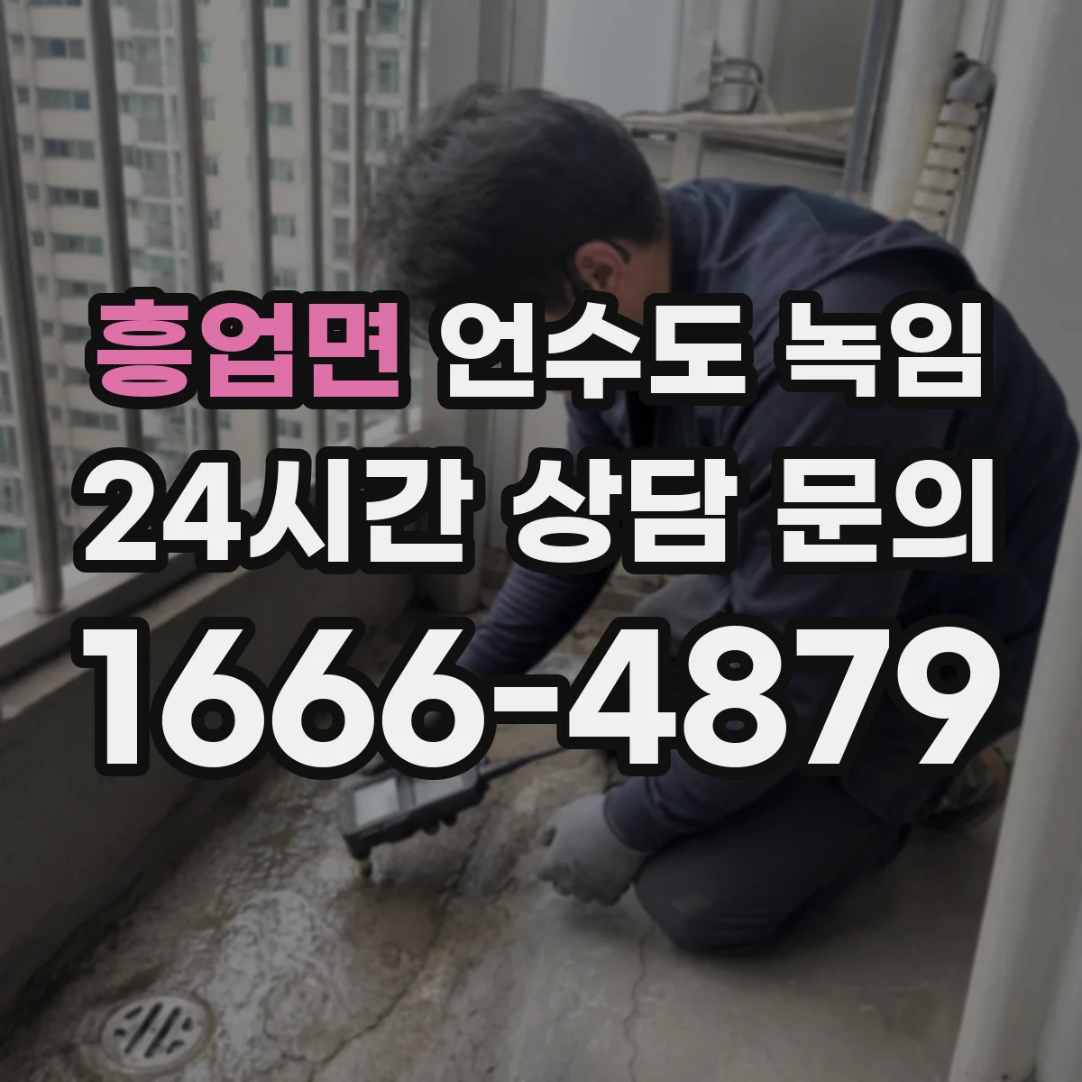 흥업면 언수도 녹임