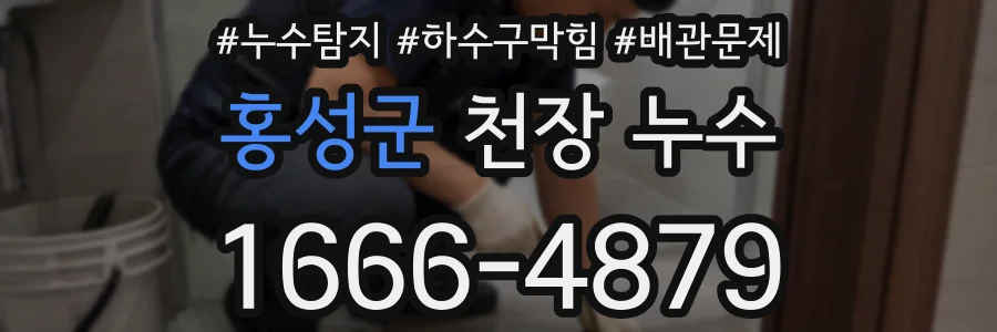 홍성군 천장 누수