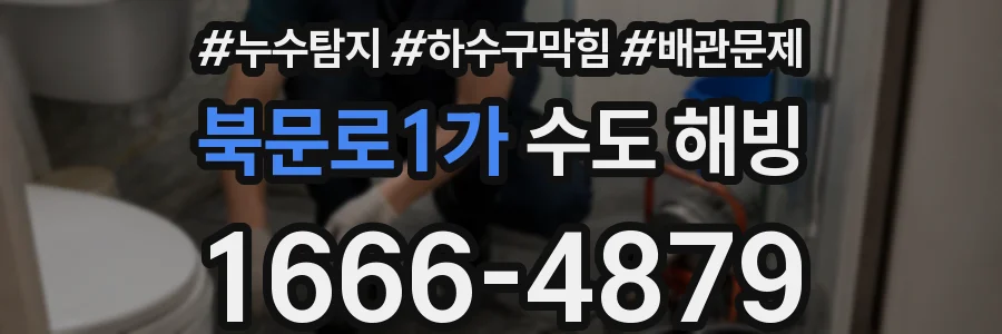 북문로1가 수도 해빙