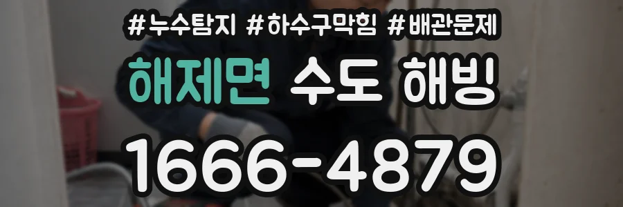 해제면 수도 해빙