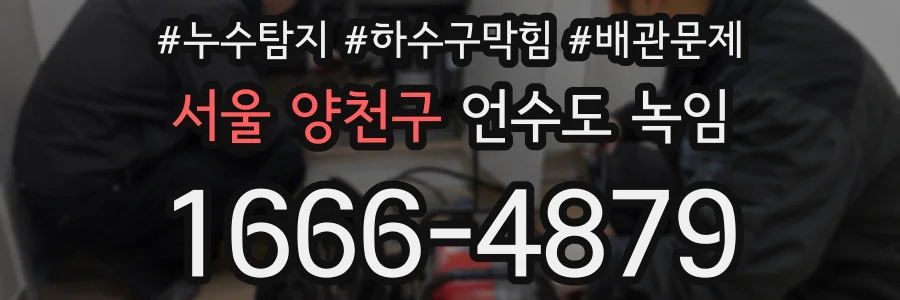 서울 양천구 언수도 녹임