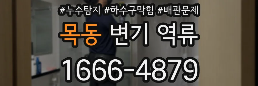 목동 변기 역류