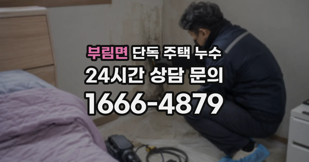 부림면 단독 주택 누수