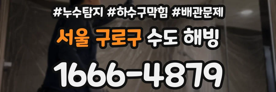 서울 구로구 수도 해빙