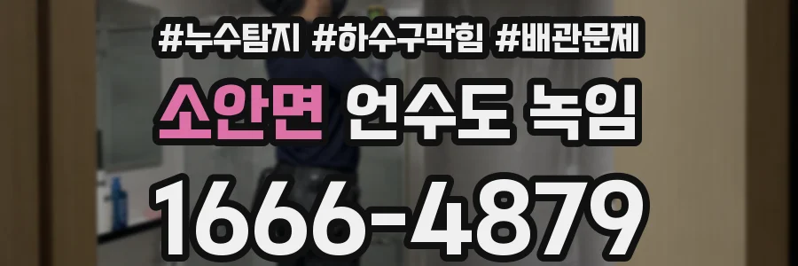 소안면 언수도 녹임