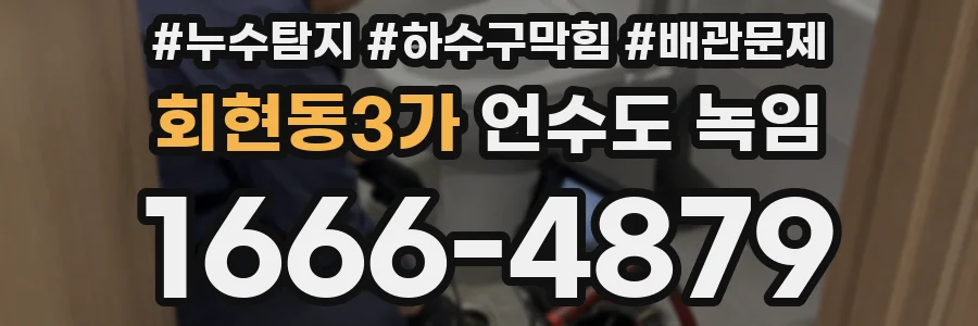 회현동3가 언수도 녹임