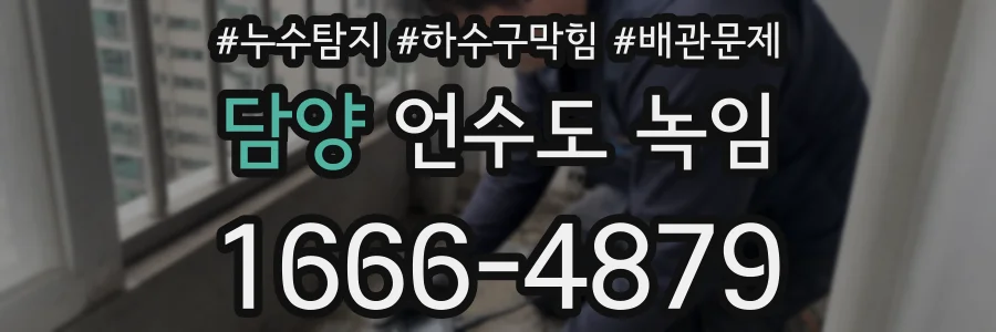담양 언수도 녹임
