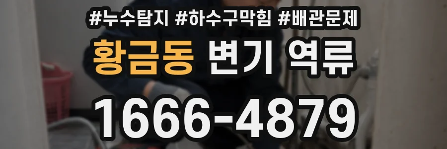 황금동 변기 역류