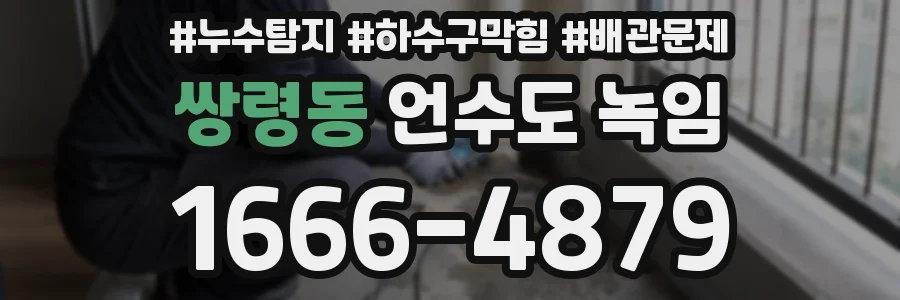 쌍령동 언수도 녹임
