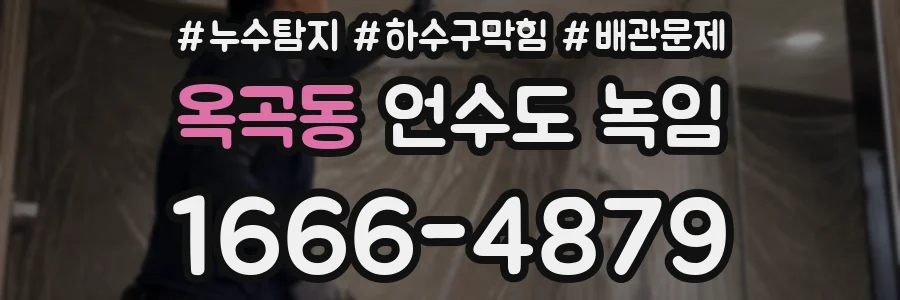 옥곡동 언수도 녹임