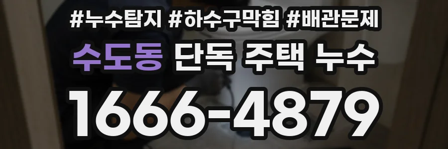 수도동 단독 주택 누수