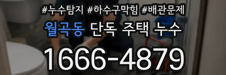 월곡동 단독 주택 누수
