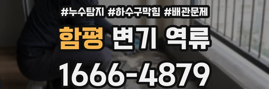 함평 변기 역류