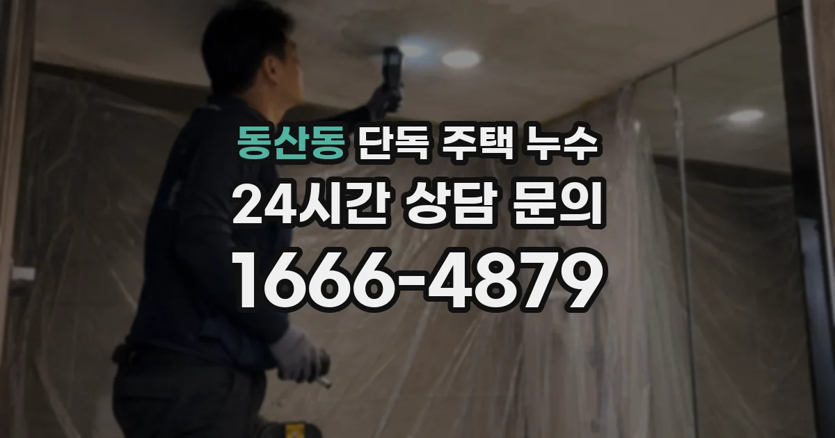 동산동 단독 주택 누수