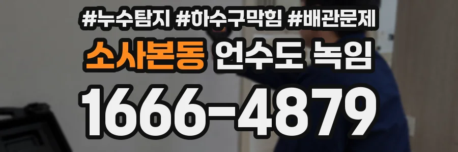 소사본동 언수도 녹임