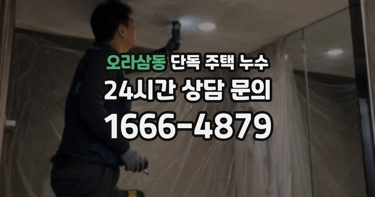 오라삼동 단독 주택 누수