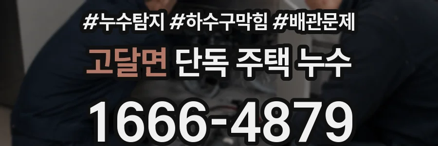 고달면 단독 주택 누수