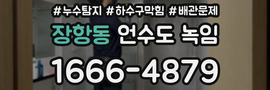 장항동 언수도 녹임