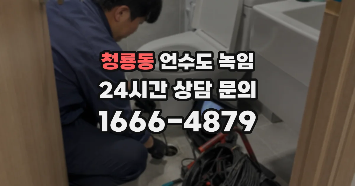 청룡동 언수도 녹임