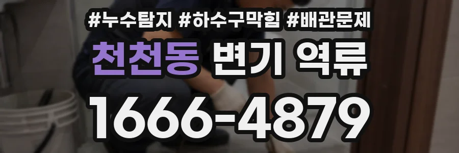천천동 변기 역류