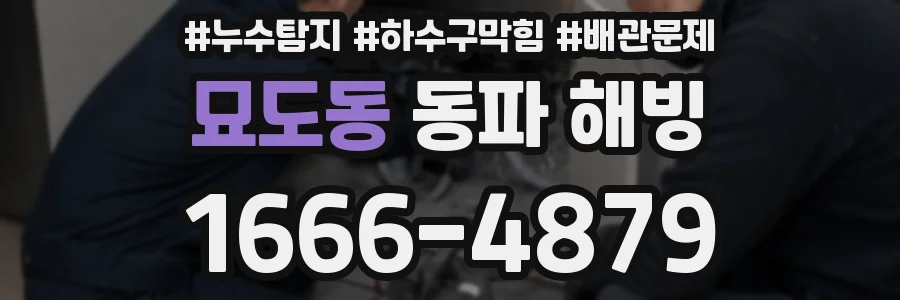 묘도동 동파 해빙