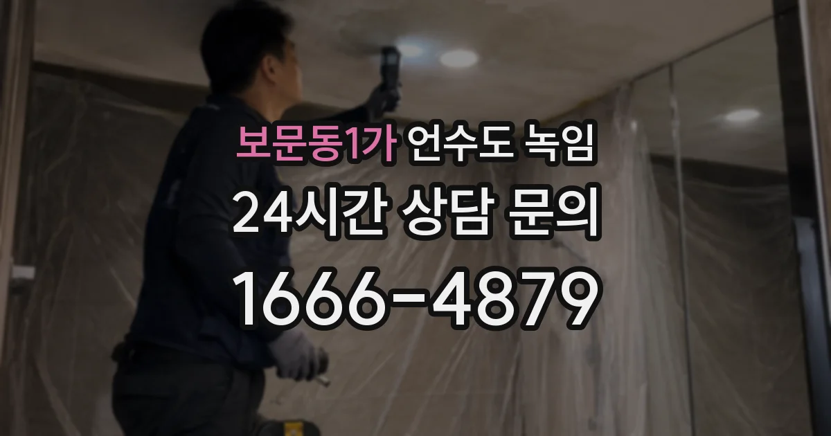 보문동1가 언수도 녹임