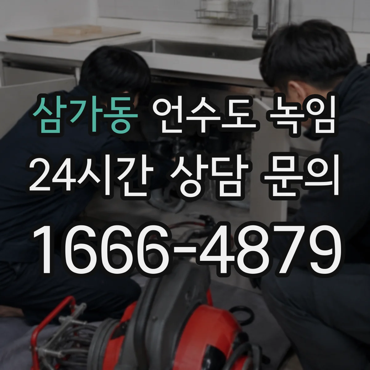 삼가동 언수도 녹임