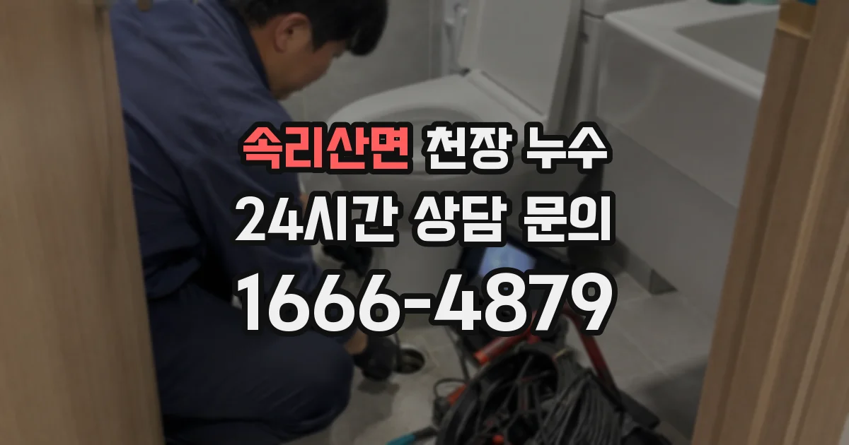 속리산면 천장 누수