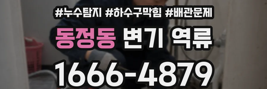 동정동 변기 역류