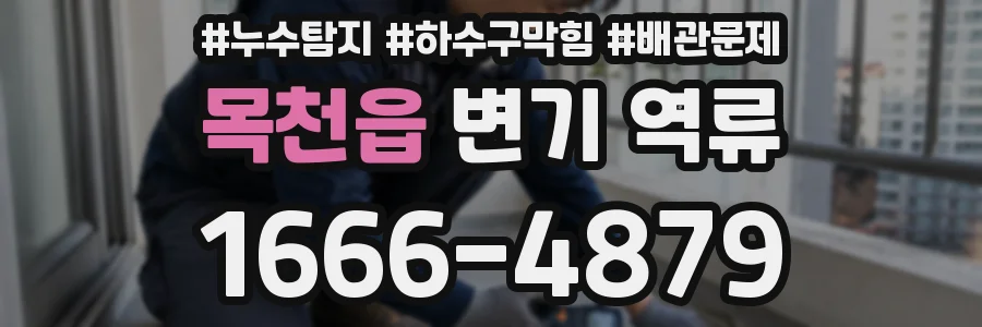 목천읍 변기 역류