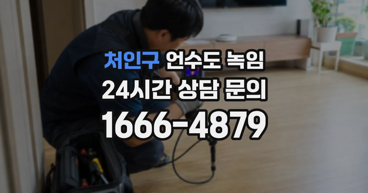 처인구 언수도 녹임
