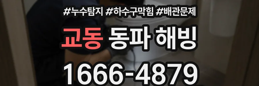 교동 동파 해빙