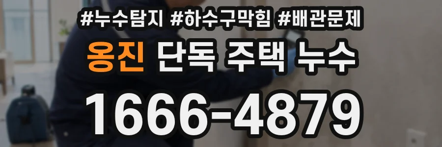 옹진 단독 주택 누수
