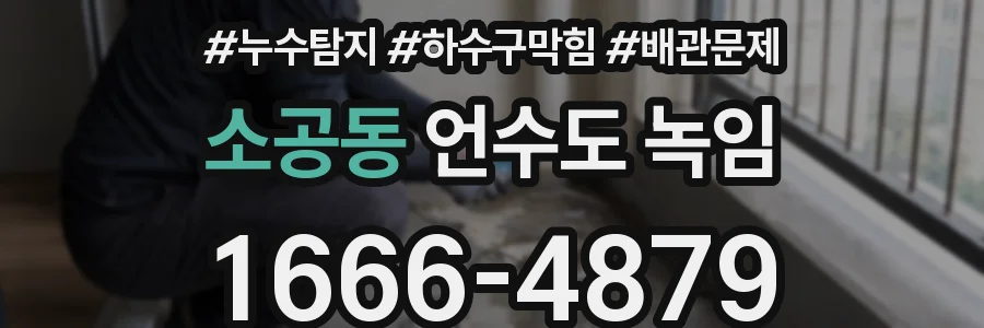소공동 언수도 녹임