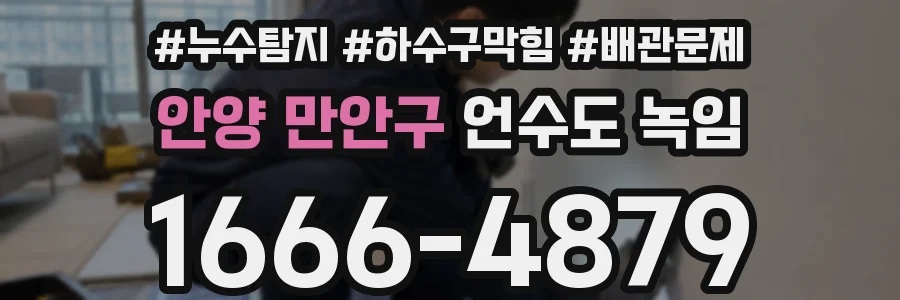 안양 만안구 언수도 녹임