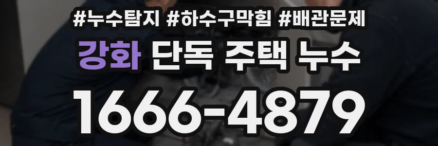 강화 단독 주택 누수