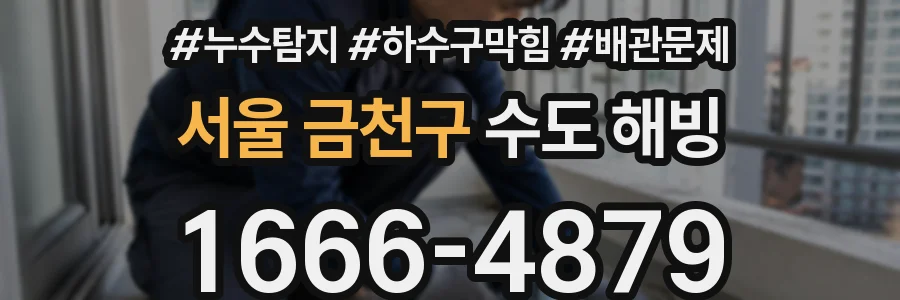 서울 금천구 수도 해빙